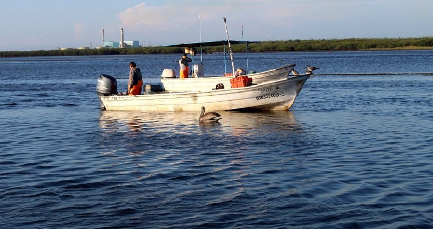 “Es tarea del gobierno federal”. Reconocen autoridades falta de vigilancia en litorales de BCS