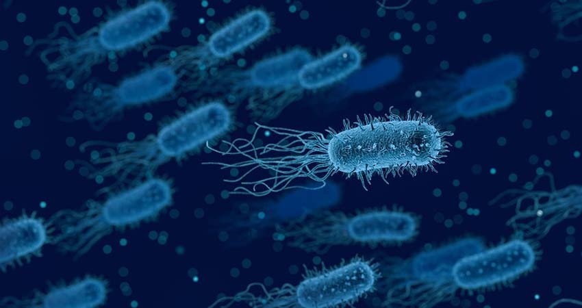 Secretaría de Salud confirma brote de bacteria Klebsiella Oxytoca