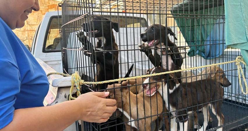 CEMAC ampliará su horario de atención los fines de semana