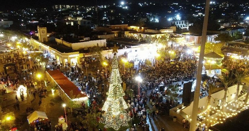 Inicia Ayuntamiento de Los Cabos festejos navideños con el encendido del árbol