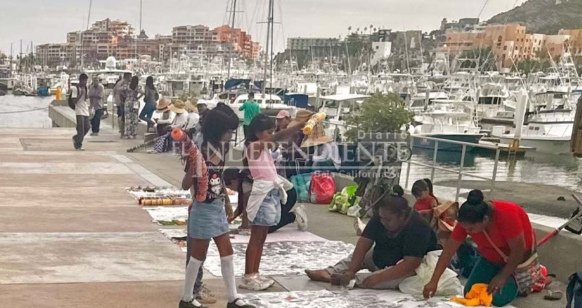 Hasta 30 menores trabajando en Marina de CSL, ha detectado Inspección Fiscal
