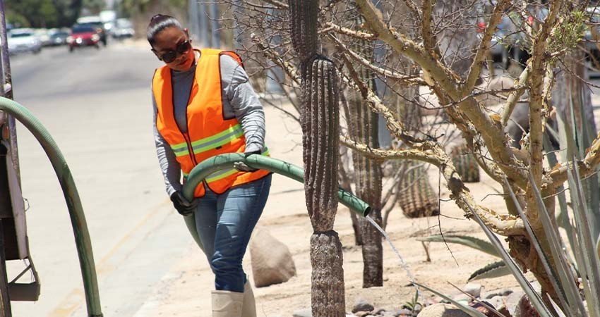 En 2024 el Ayto de La Paz reutilizó más de 13 millones de litros de agua tratada