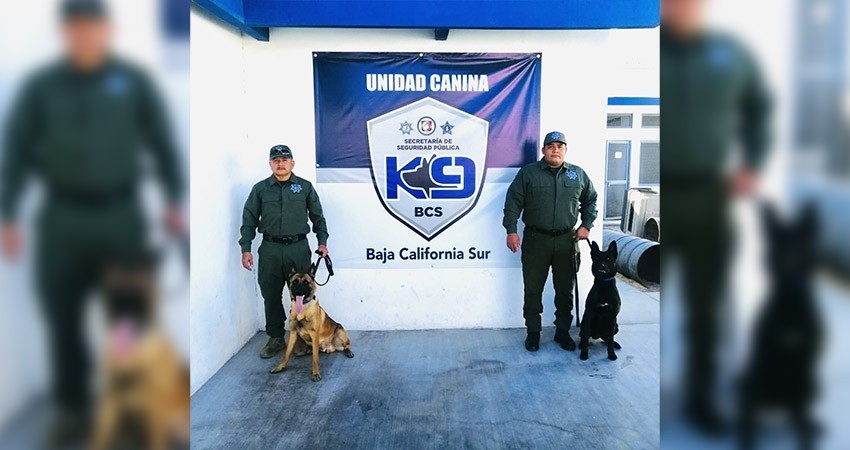 SSPE recibe en donación de USA dos caninos entrenados para fortalecer la seguridad