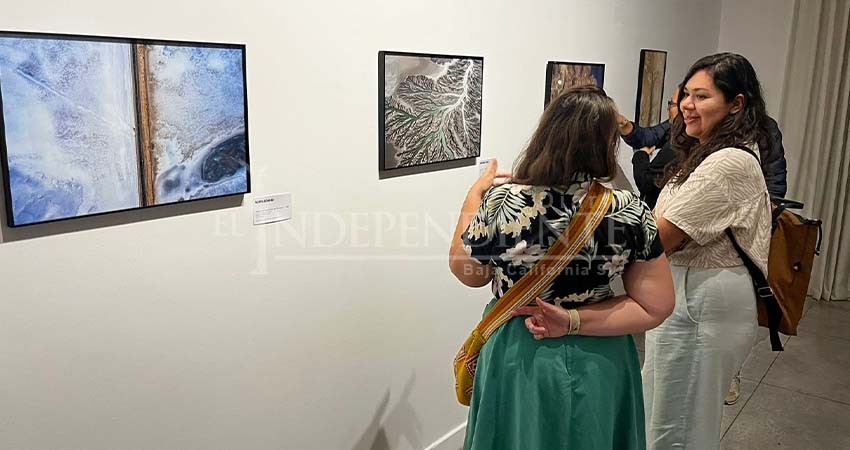 El fotógrafo Santiago Arau busca impactar con imágenes de biodiversidad en Los Cabos