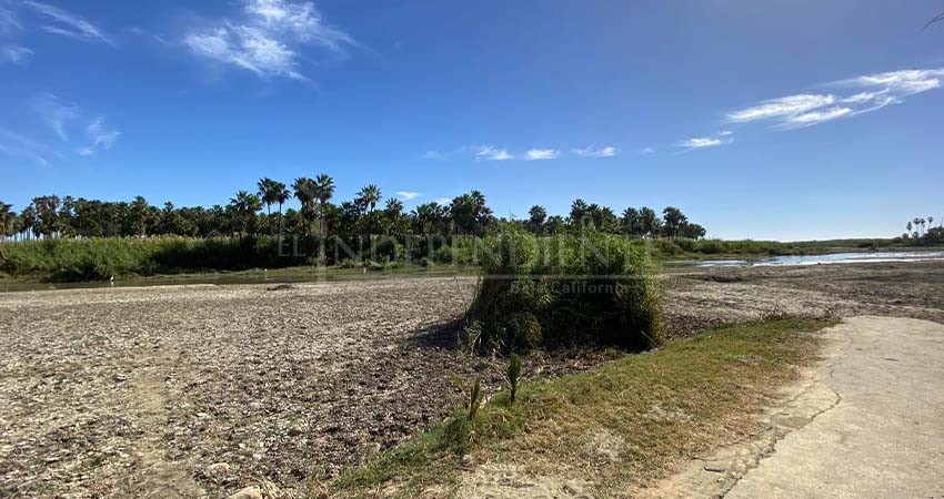 Preparan expertos el Plan de Manejo del Estero de San José del Cabo