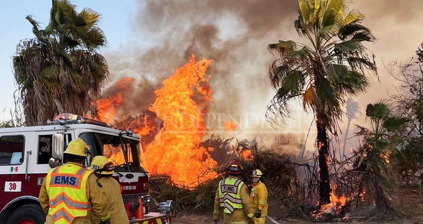 Incendio en San José del Cabo abarcó cerca de 20 hectáreas