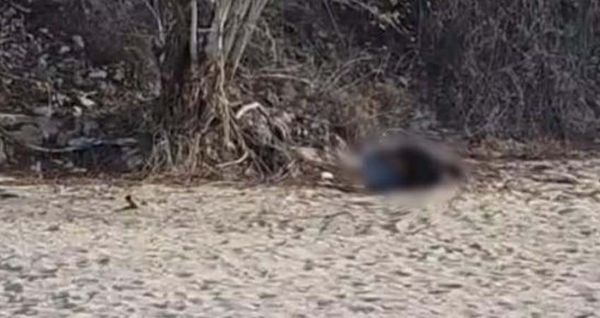 Infarto agudo al miocardio, causa de muerte del occiso localizado en arroyo “El Cajoncito”