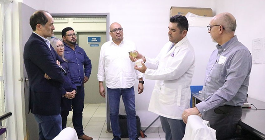 Contribuirá BCS en la implementación de la estrategia nacional para el control del dengue