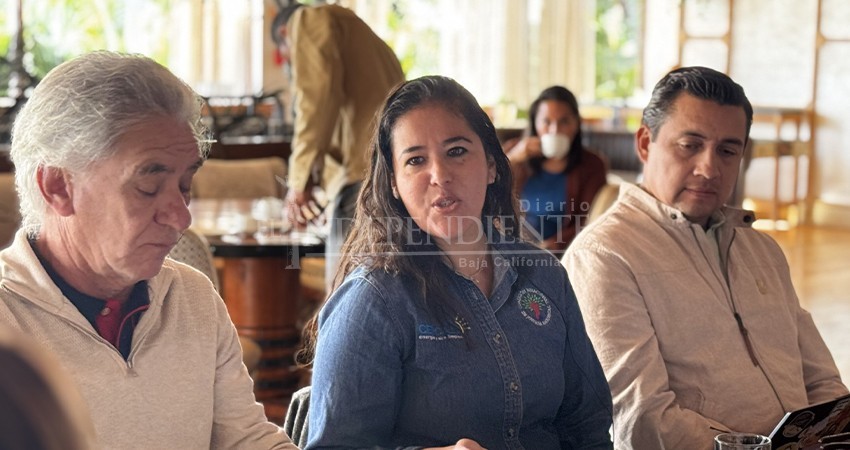 Buscará CERCA frenar proyecto de nueva planta de combustión en Los Cabos; afectará la calidad del aire