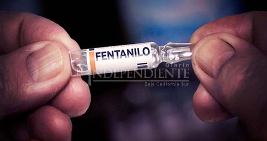En BCS se han detectado 12 muertes por fentanilo: Vázquez Jacinto
