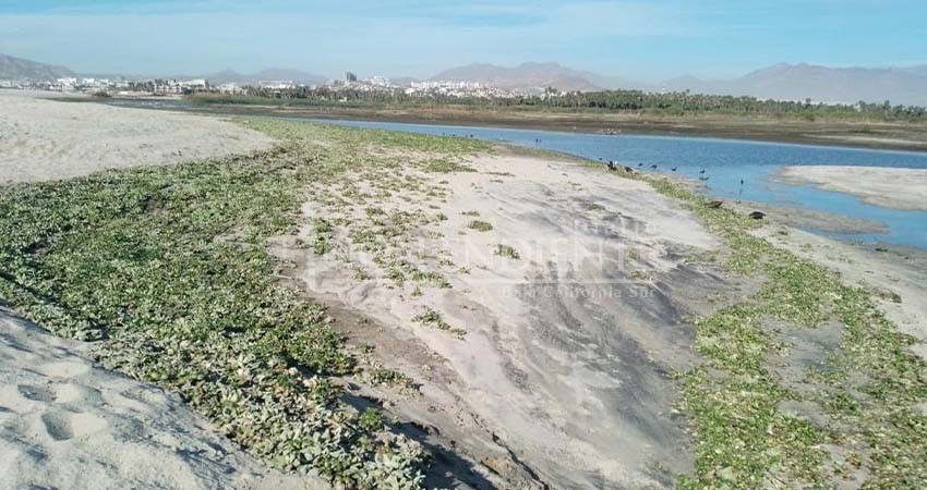 Estero josefino será reforzado con elementos de Marina y SEDENA