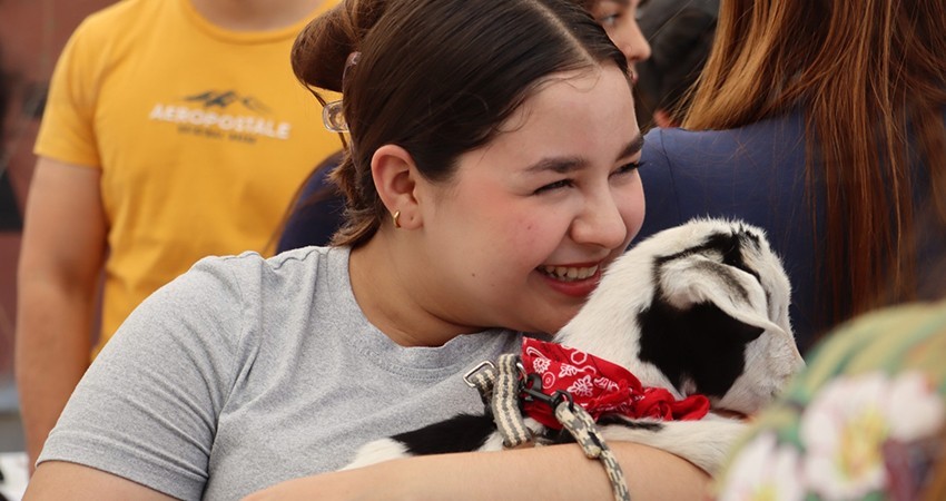 UABCS promueve la adopción responsable de perros y gatos con feria de sensibilización