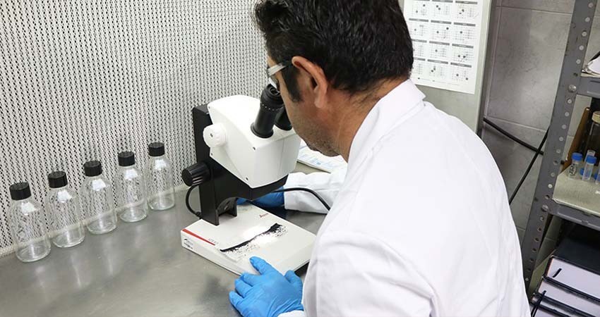 Recibe BCS material biológico para fortalecer el combate al dengue