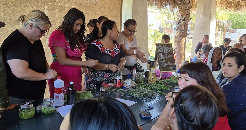 Imparten exitoso taller de medicina tradicional en La Paz