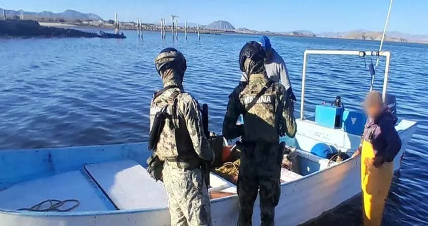 Autoridades decomisan toneladas de producto marino en plena cuaresma