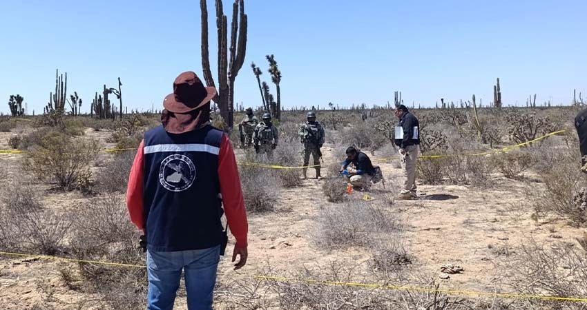 En Mulegé, localizan más restos óseos