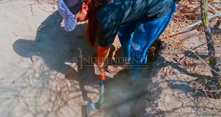 Localizan nueva fosa clandestina en San Juan de la Costa; suman 22 osamentas en La Paz