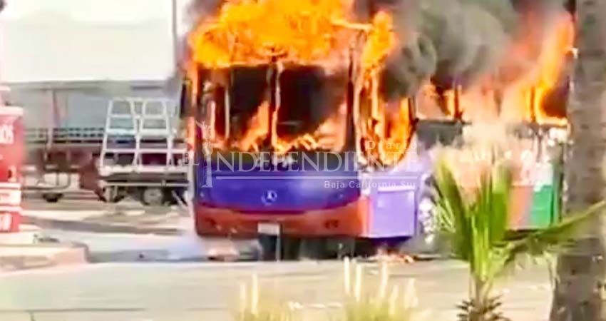 Baja California Sur en tensión: el crimen desafía al Estado