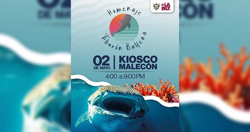Ayuntamiento de La Paz invita al Festival del Tiburón Ballena 2025