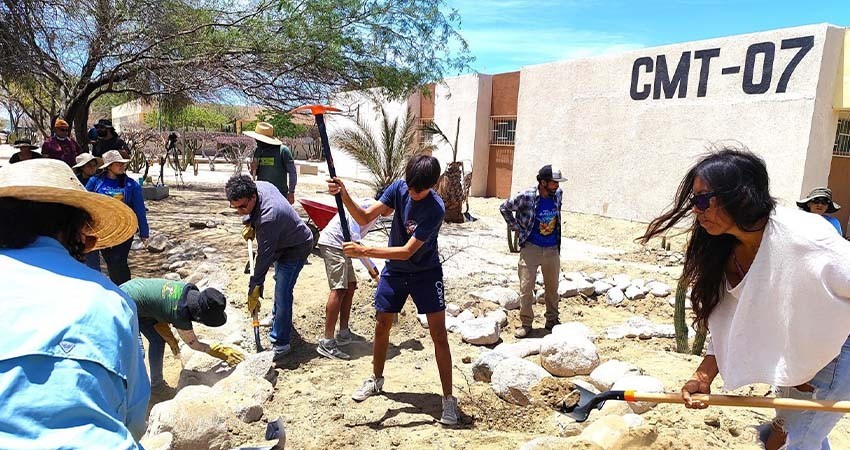 Instalan en UABCS un jardín de lluvia