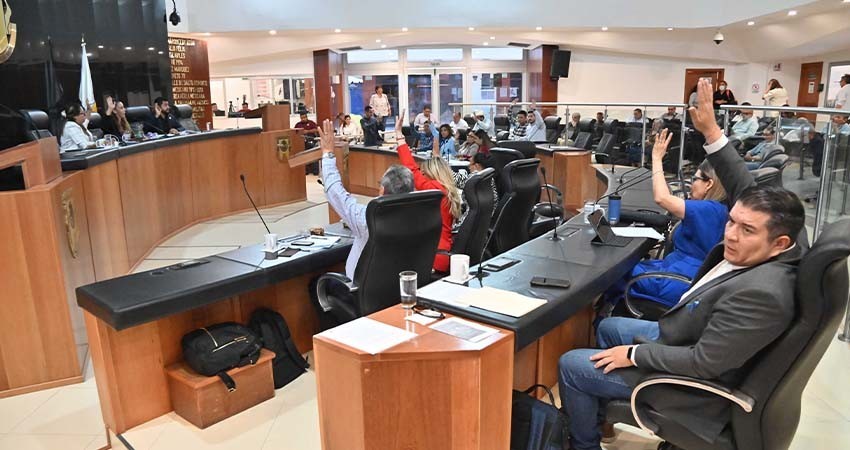 Los parques y espacios públicos deberán ser accesibles a las personas con discapacidad