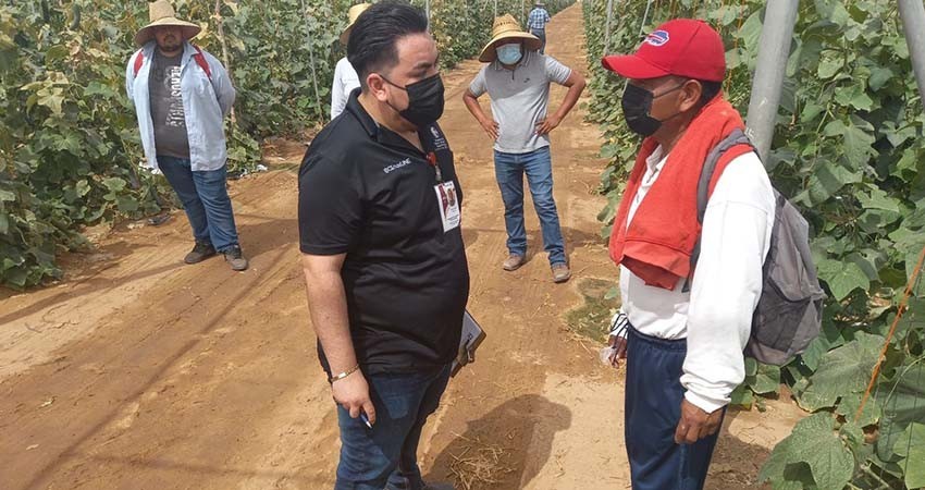 Realiza Secretaría del Trabajo más de 500 inspecciones para erradicar el trabajo infantil