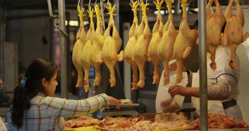 Vuela alto el precio de pollo en el país; al alza en los últimos días