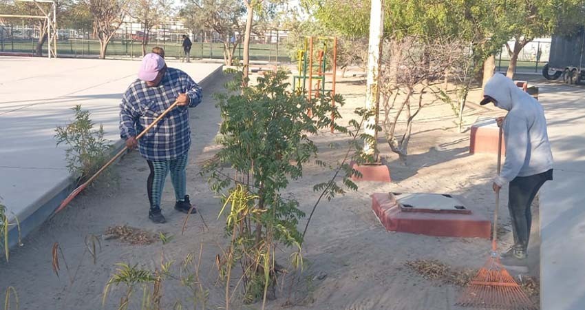Servicios Públicos dio mantenimiento a 14 espacios públicos en la ciudad de La Paz