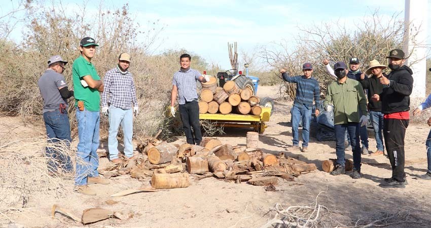 UABCS participa en Jornada Nacional de Tequios por La Paz en los cinco municipios del estado
