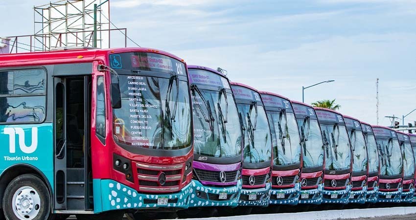 Gobierno federal destinará 55 mdp para reforzar al transporte público de La Paz con nuevas uni-dades del TU