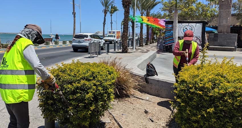 Servicios Públicos realiza mantenimiento en el malecón y colonias de La Paz
