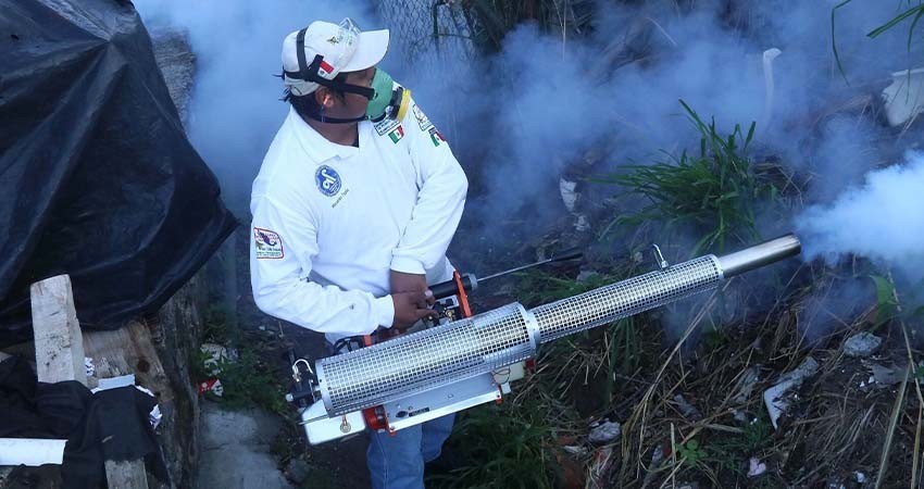 México suma más de 3 mil 500 casos de dengue; Jalisco encabeza la lista