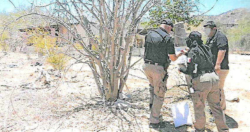 Realiza FGR cateo en un inmueble en “El Saucito”, SJC