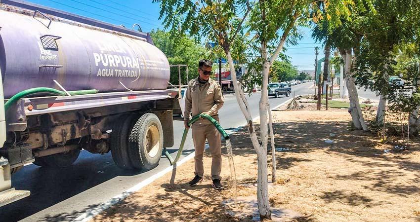 Destinan 250 mil litros de agua tratada para el riego y mantenimiento de espacios públicos
