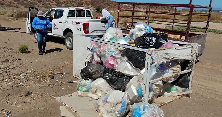 Recolectan más de 5 toneladas de residuos en playas y manglares de La Paz