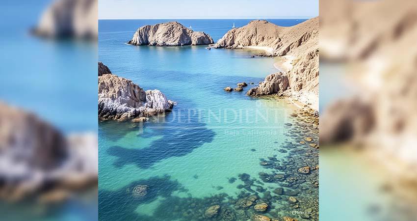 Golfo de California presenta degradación de especies marinas