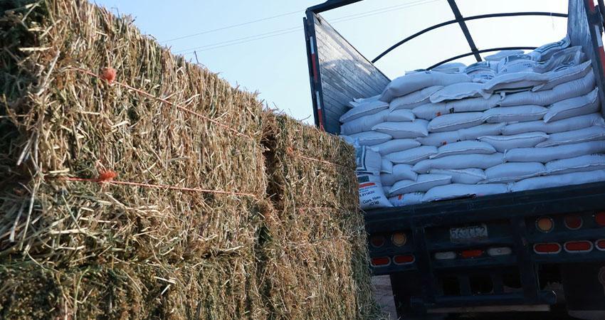 Gobernador Víctor Castro entrega apoyos para el campo a productores de BCS