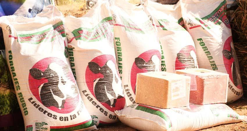 Refuerza el Gobierno de Baja California Sur apoyo al sector primario