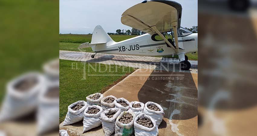 Con avión de la Segunda Guerra Mundial buscarán "bombardear" con semillas al Estero Josefino