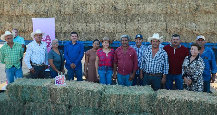 Entrega Milena Quiroga de manera gratuita, alfalfa a productores de San Blas y Melitón Albáñez