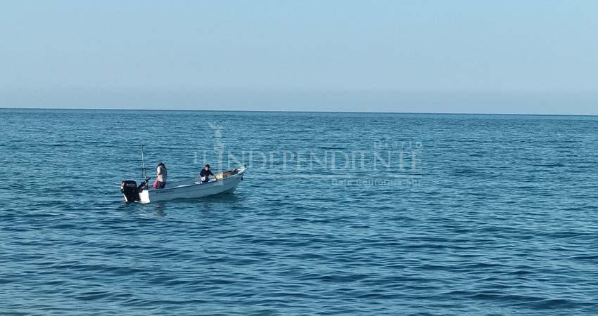 Boca del Álamo impulsa refugio pesquero para combatir la pesca de alto impacto en BCS