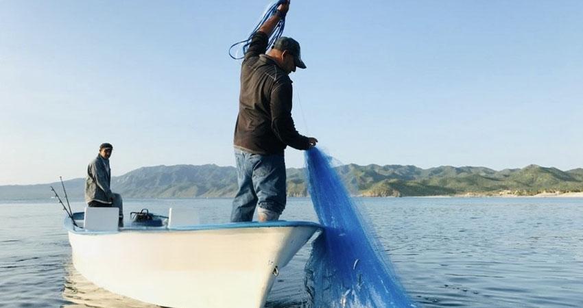 Gobierno de BCS trabaja activamente en el desarrollo del sector acuícola