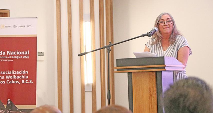Avala OMS el método Wolbachia que comenzará aplicarse en Los Cabos para prevenir el dengue