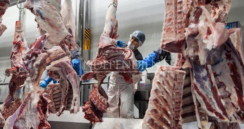 Buscan certificación para Rastro Tipo Inspección Fiscal en Los Cabos