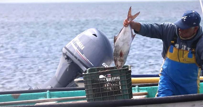 Avanza BCS en la transformación del sector pesquero y acuícola