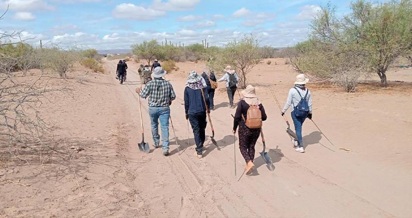 Reconoce Castro Cosío la labor de los colectivos de búsqueda en BCS