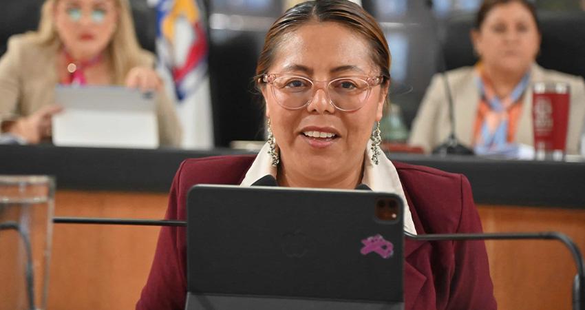 Urge adecuar una asignatura, en prevención de delitos cibernéticos y seguridad digital: Diputada Teresita Valentín