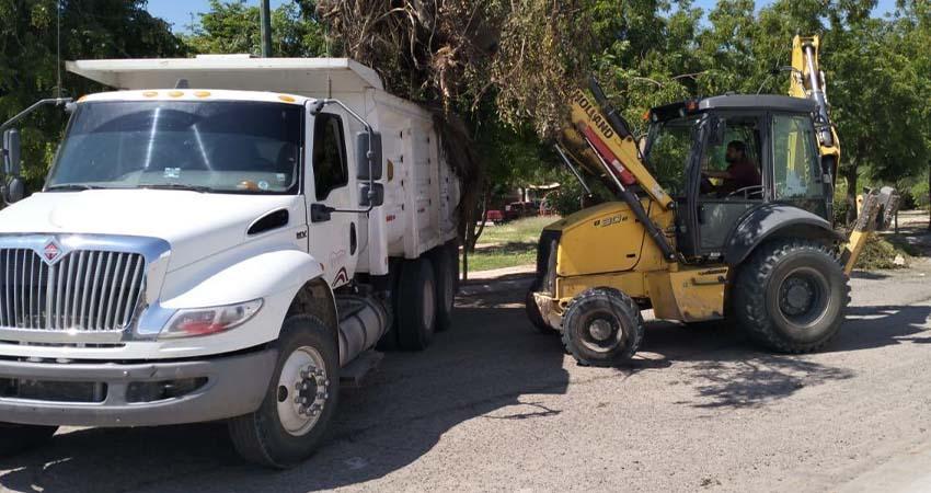 Continúan tareas de rehabilitación y mantenimiento de espacios públicos