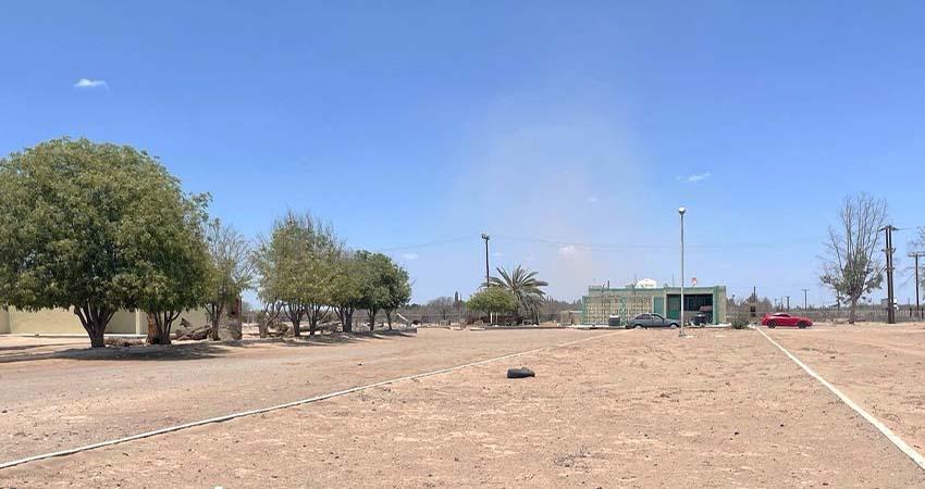 Trabajan en la reactivación del laboratorio de insectos benéficos en el Valle de Santo Domingo