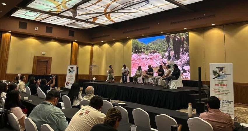 Todo un éxito el Festival Internacional de Aves en Los Cabos